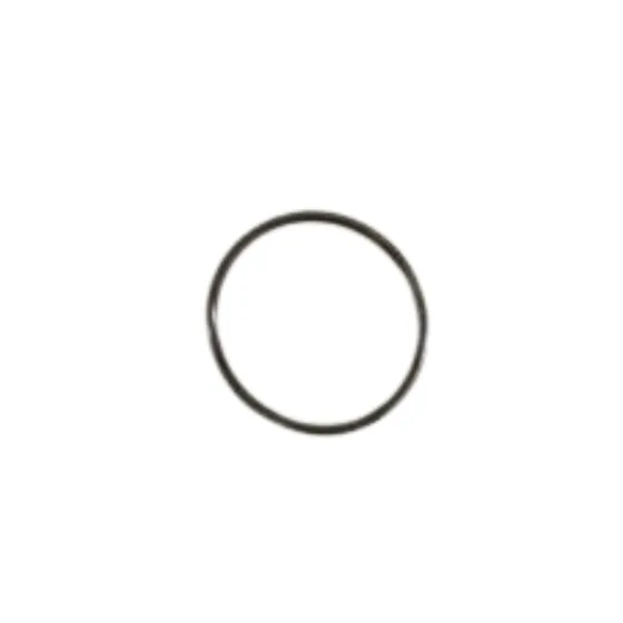 O'RING 888614-001