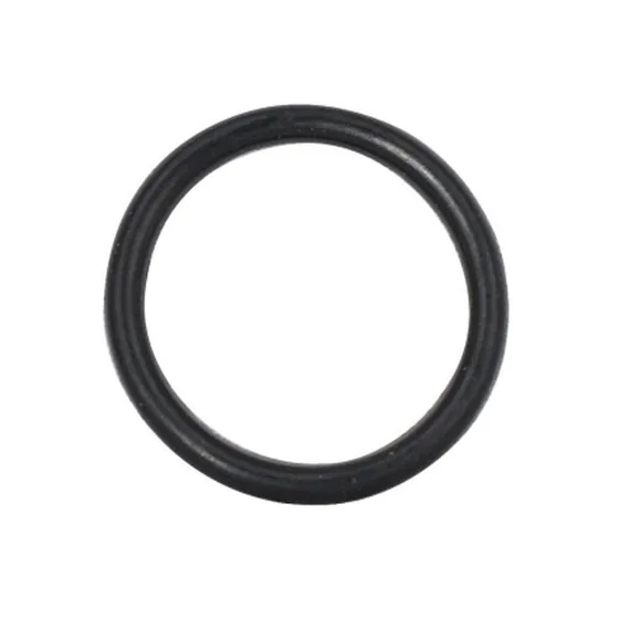 O'RING 888615-001