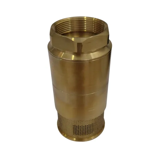 VALVULA DE PIE DE 2" FOOT VALVE